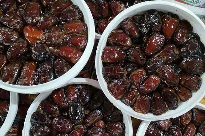 تصویر 2 از خرید و قیمت عمده خرما کبکاب خشت + قیمت باور نکردنی
